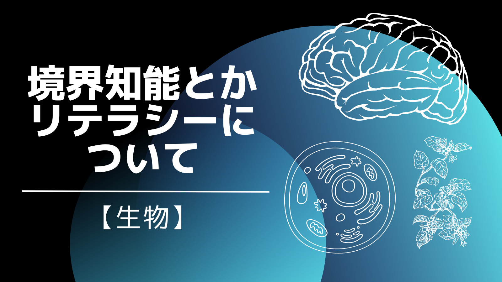 境界知能とかリテラシーについて